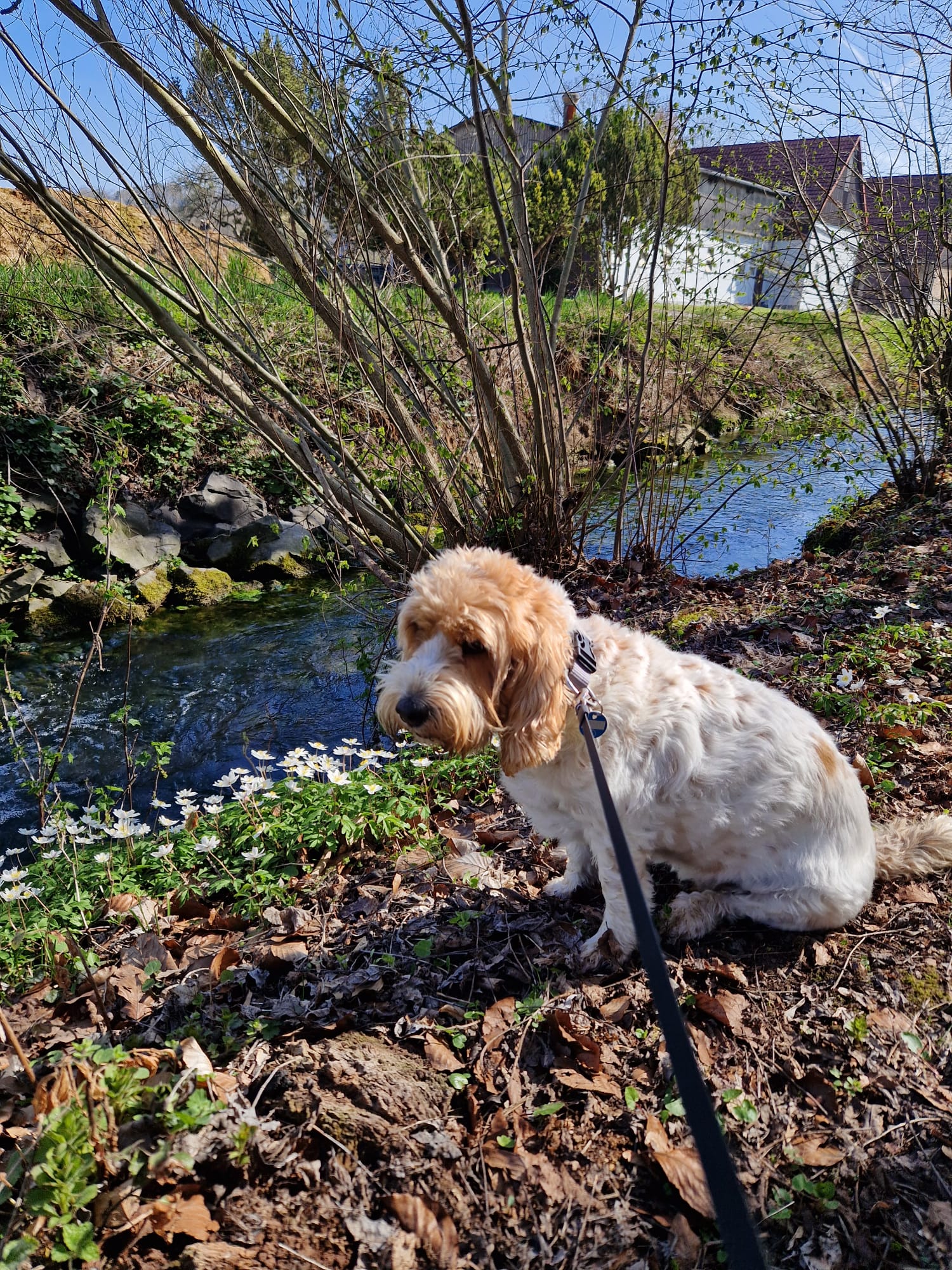 whatsapp image 2026 02 28 at 16.47.56