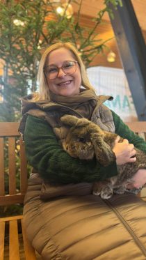 whatsapp image 2026 02 28 at 16.42.05